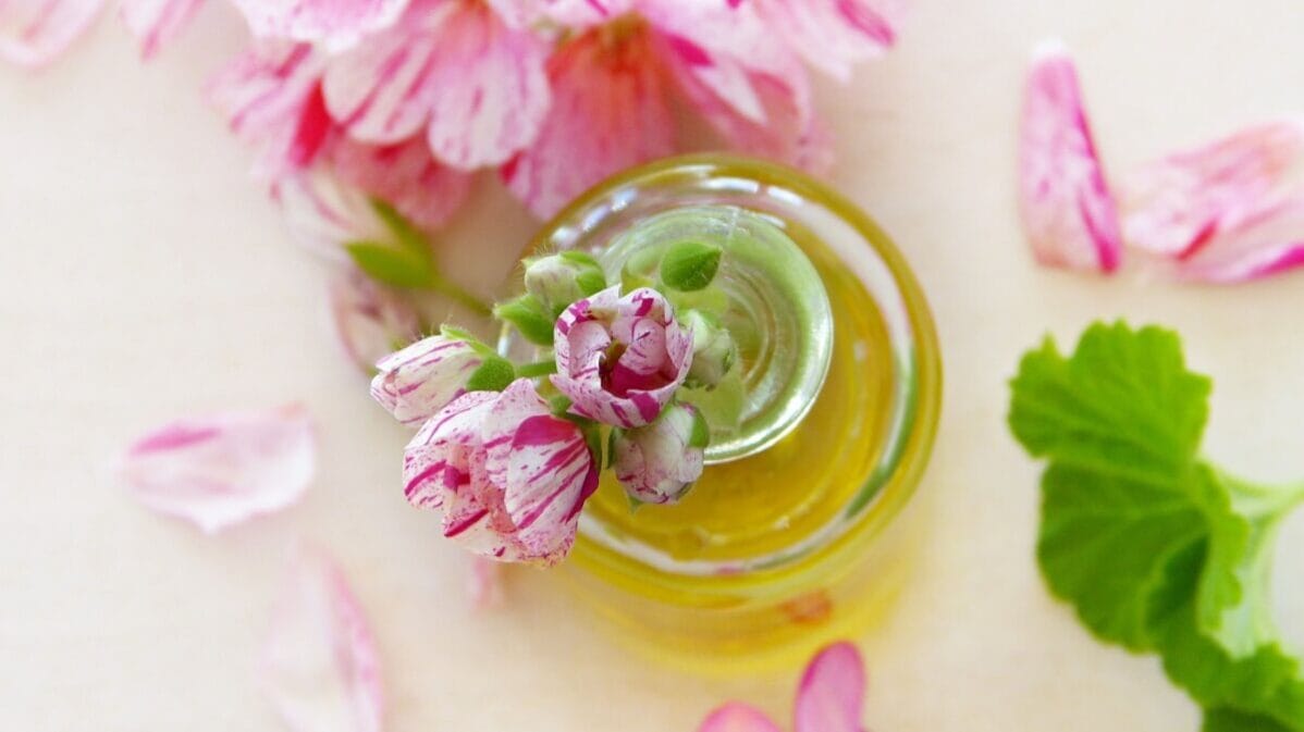 olio-essenziale-di-geranio-proprietà