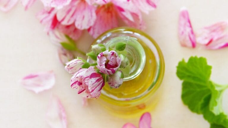 olio-essenziale-di-geranio-proprietà