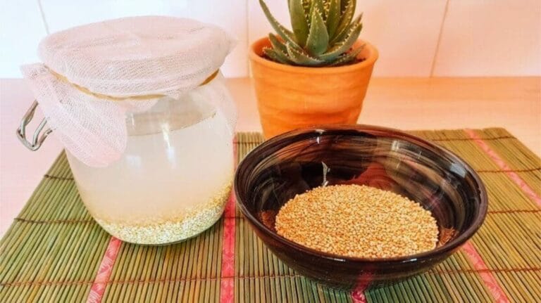 Scopri di più sull'articolo REJUVELAC DI QUINOA: COME FARLO E MODI DI UTILIZZO