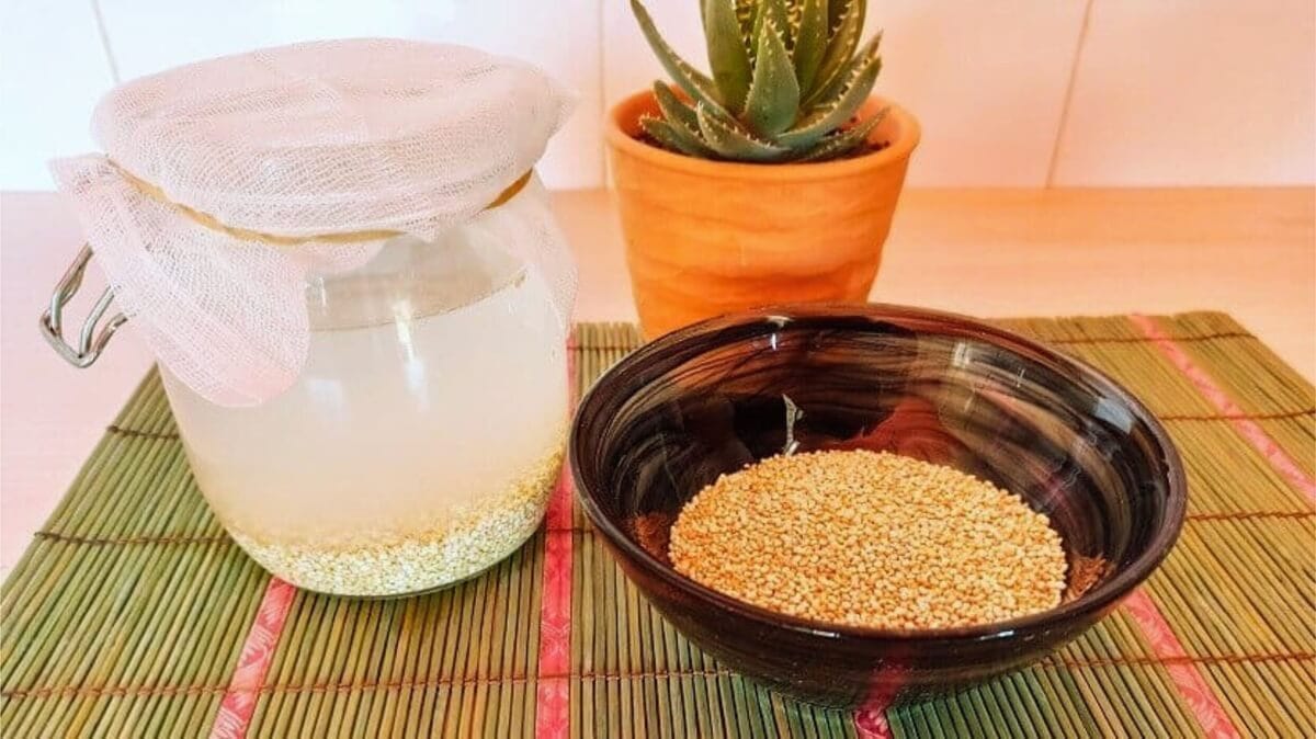 come-fare-il-rejuvelac-di-quinoa