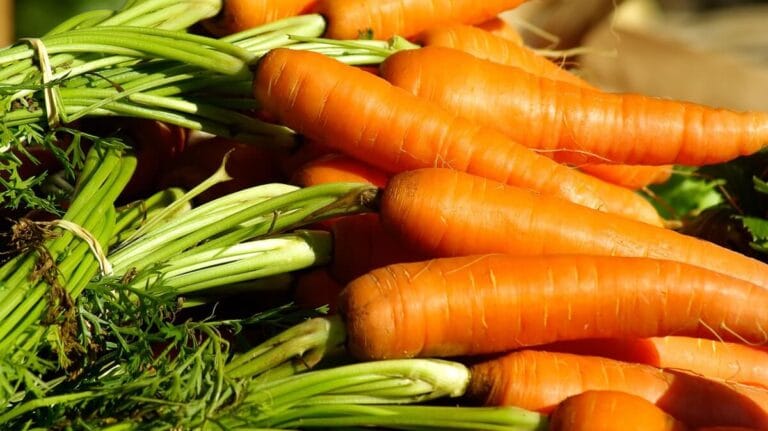 Scopri di più sull'articolo OLIO DI CAROTA FAI DA TE