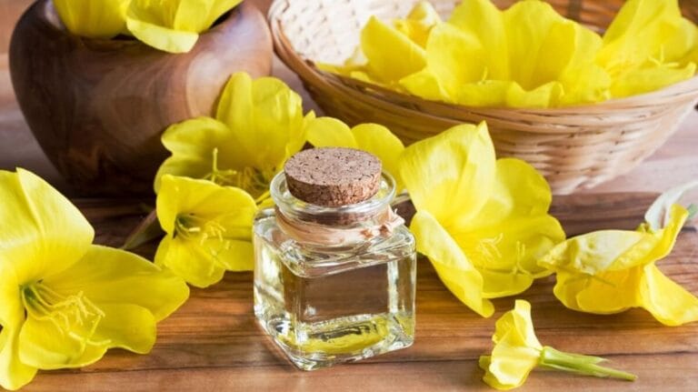 Scopri di più sull'articolo OLIO DI ENOTERA: L’ALLEATO DELLE DONNE