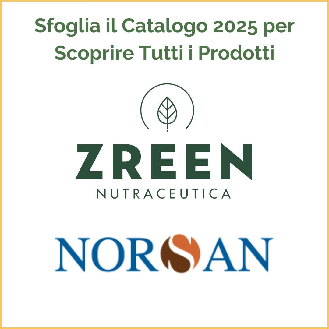 catalogo-zreen-norsan-2025